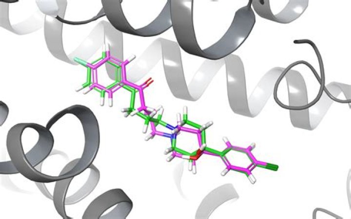 How do you undo in PyMOL