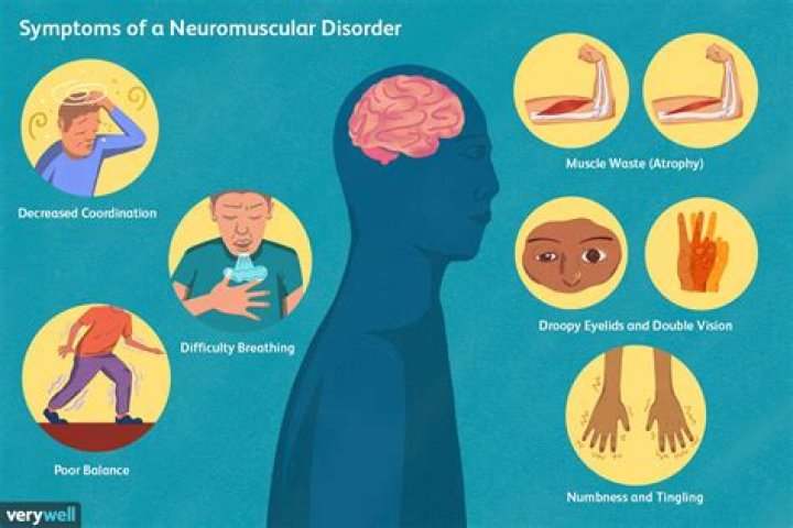 What are the different types of neuromuscular diseases