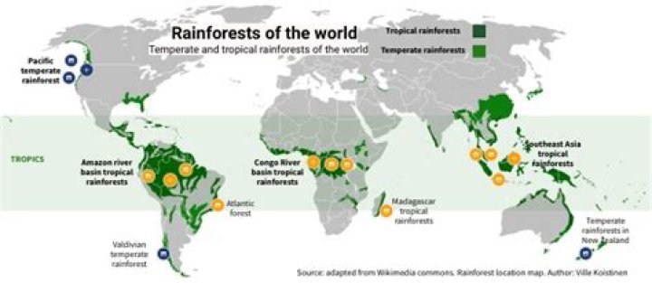 What countries have tropical rainforests