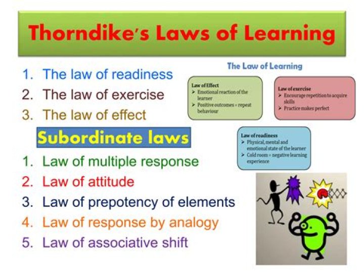 What is Thorndikes Law of readiness